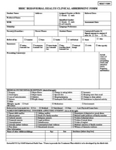 SBHC BH Intake Assessment form 2015 2016 fillable (1) - New Mexico ...